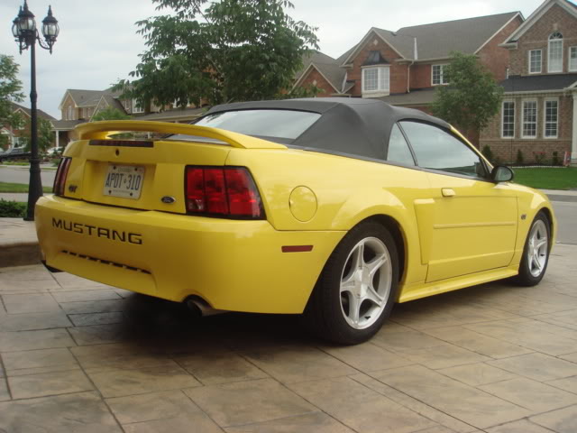 Name:  mustconvs016.jpg
Views: 150
Size:  56.7 KB