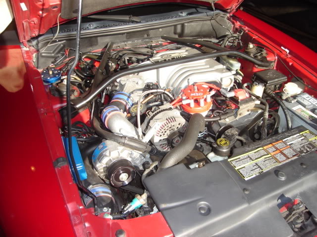 Name:  DSC02484.jpg
Views: 121
Size:  85.8 KB