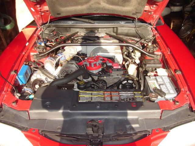 Name:  DSC02481.jpg
Views: 114
Size:  79.3 KB