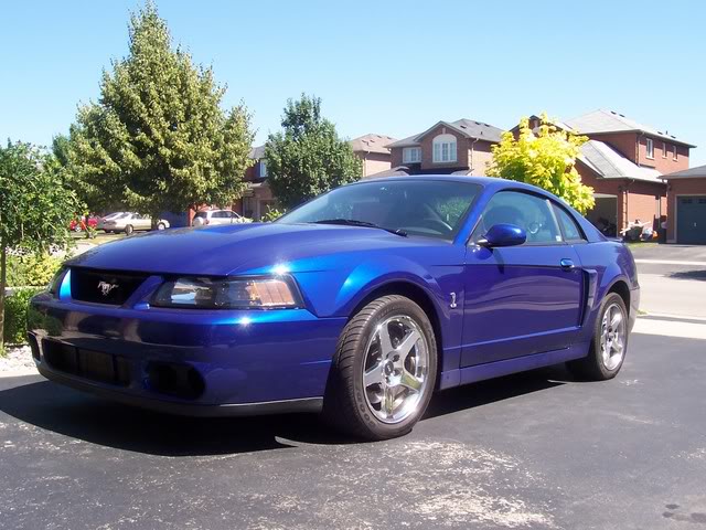 Name:  frontangle.jpg
Views: 128
Size:  73.5 KB