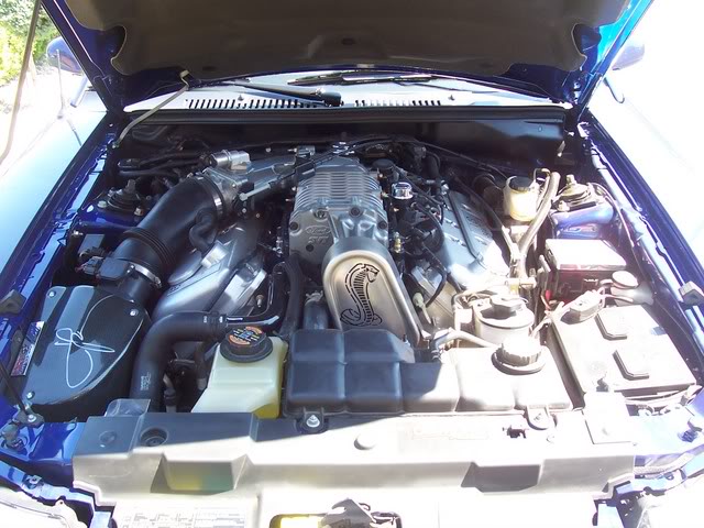 Name:  engine.jpg
Views: 159
Size:  74.3 KB