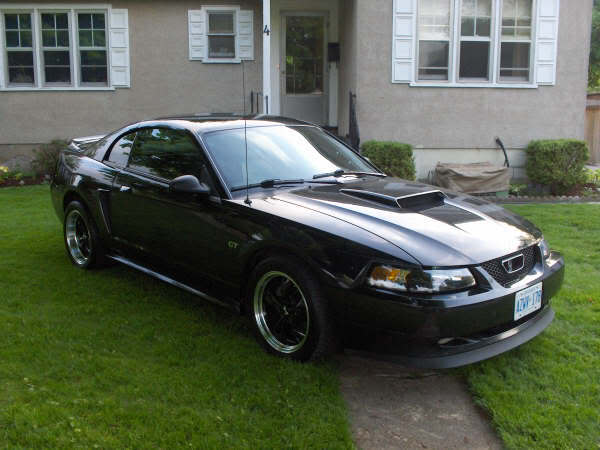 Name: stang2.jpg
Views: 424
Size: 36.6 KB