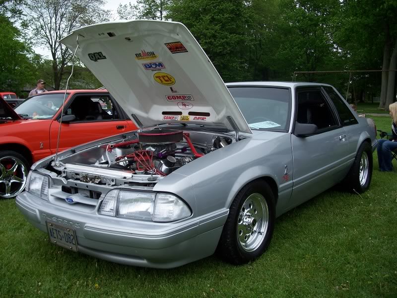 Name:  100_0757.jpg
Views: 104
Size:  133.6 KB