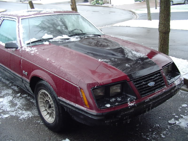 Name: DSC03305.jpg
Views: 82
Size: 105.1 KB