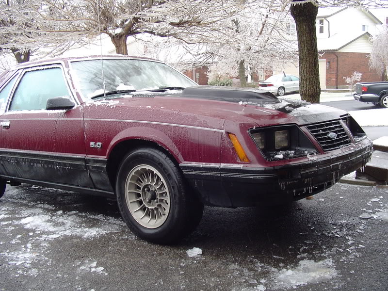 Name: DSC03304.jpg
Views: 102
Size: 163.4 KB