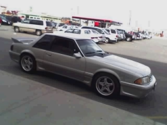 Name:  stang13bzd.jpg
Views: 97
Size:  27.6 KB