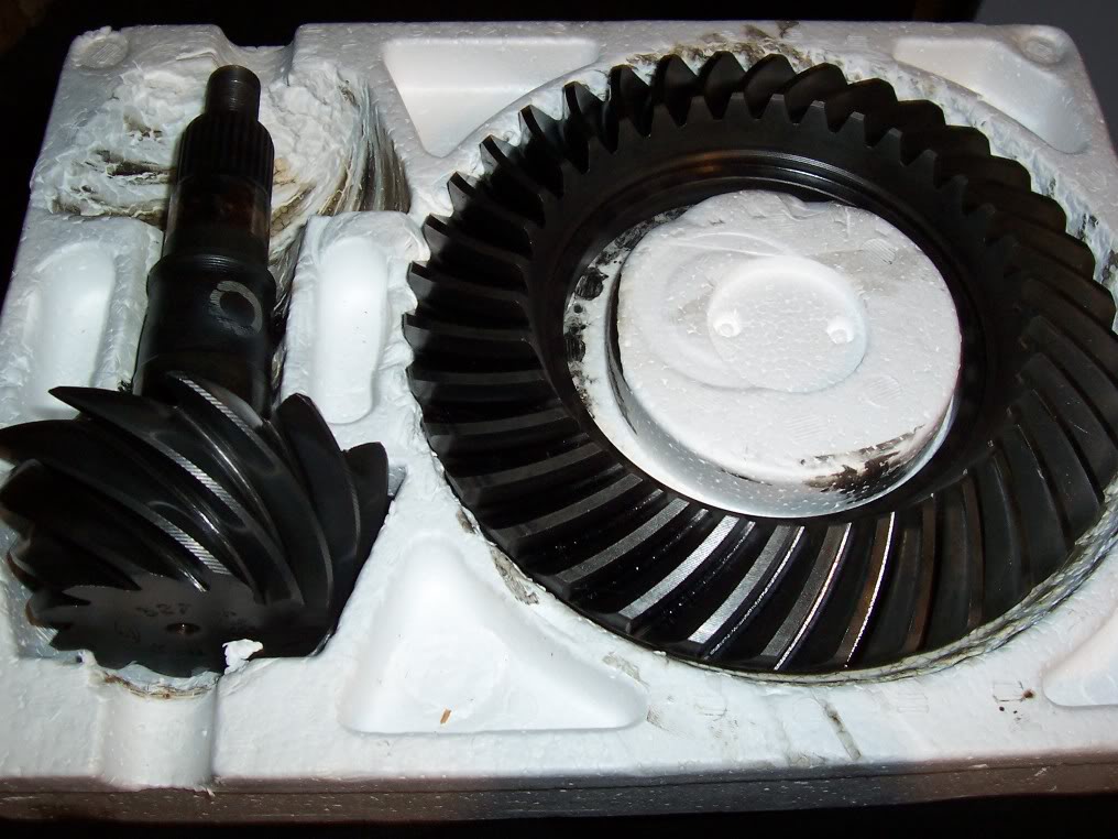 Name:  cobra017.jpg
Views: 78
Size:  117.2 KB