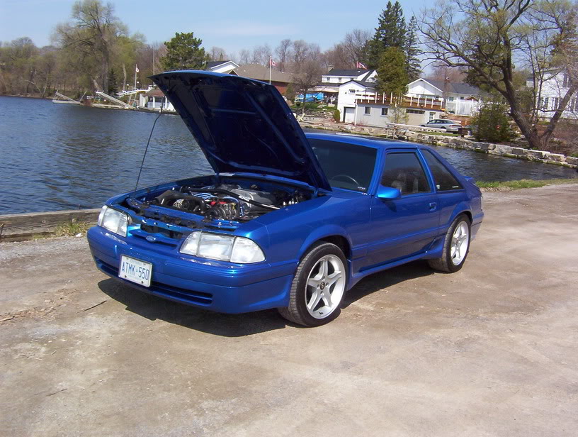 Name:  100_4530.jpg
Views: 66
Size:  125.1 KB