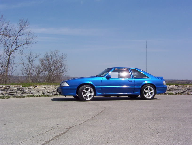 Name:  100_4513.jpg
Views: 77
Size:  84.6 KB