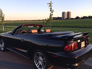 1997 MUSTANG GT Convertible 4.6-img_0864.jpg