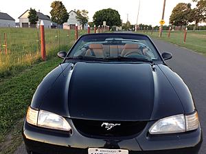 1997 MUSTANG GT Convertible 4.6-img_0877.jpg