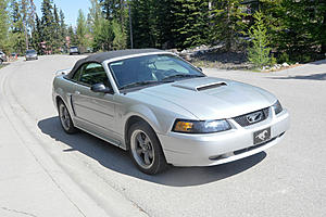 2001 convertible Mustang GT-dsc_3922.jpg