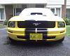 2005 Mustang GT (Clone)  ,750.00-mustang04.jpg