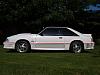 1988 Mustang GT-p7042901.jpg