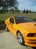 2009 Ford Grabber orange GT - 000.00-img00077-20100925-1442.jpg