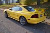 1995 Ford Supercharged Mustang GT - 00 OBO-100_0194.jpg