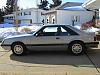 1985 Ford Mustang - 000-img_0954-1.jpg