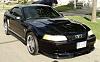 2000 Ford mustang - 99-copy-dsc00545.jpg
