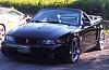 2003 Ford SVT COBRA CONVERTIBLE - 900-2.jpg