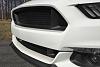 Custom mesh and billet grilles for a new 2015 Mustang-rmgmustang-goth.jpg