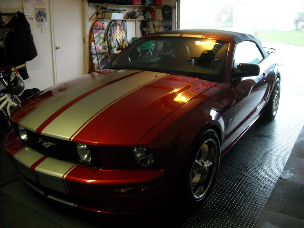 Name:  f02923d4.jpg
Views: 147
Size:  112.8 KB