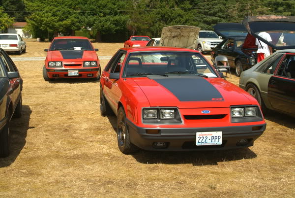 Name:  8003.jpg
Views: 71
Size:  82.4 KB