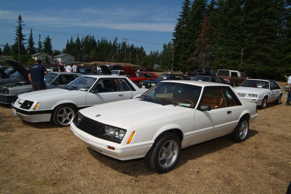 Name:  7989.jpg
Views: 86
Size:  66.1 KB