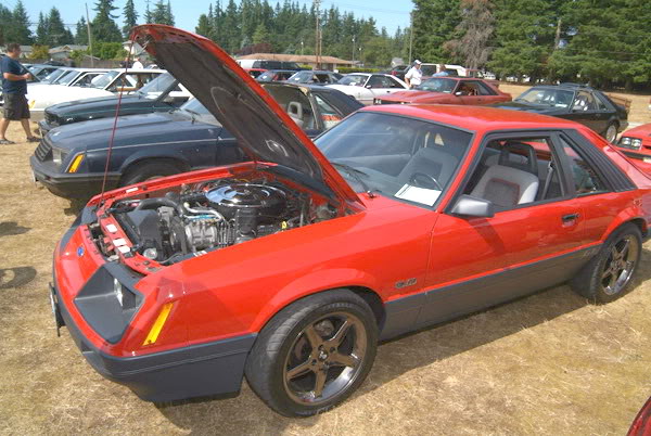 Name:  7990.jpg
Views: 59
Size:  78.3 KB