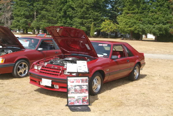 Name:  7993.jpg
Views: 88
Size:  81.1 KB