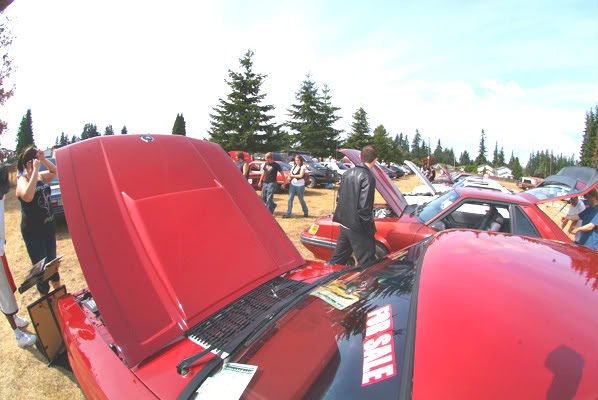 Name:  7954.jpg
Views: 59
Size:  52.7 KB