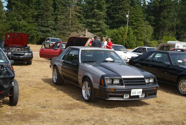 Name:  7976.jpg
Views: 53
Size:  80.9 KB