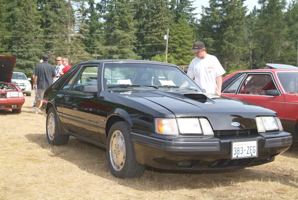 Name:  7977.jpg
Views: 62
Size:  78.9 KB