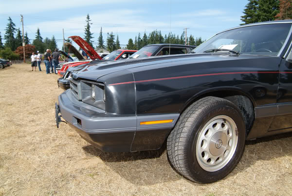 Name:  7978.jpg
Views: 80
Size:  71.7 KB