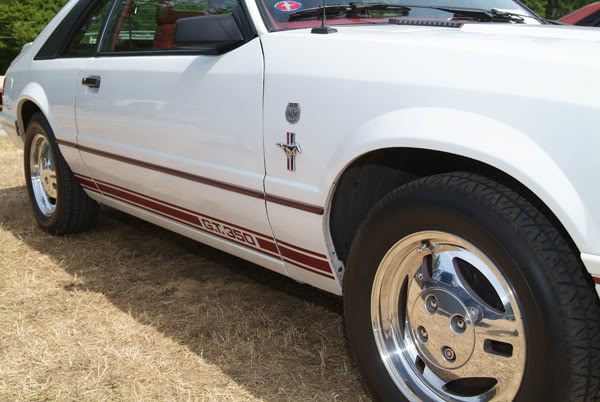 Name:  7981.jpg
Views: 70
Size:  59.5 KB