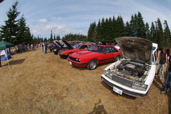 Name:  7955.jpg
Views: 57
Size:  76.6 KB