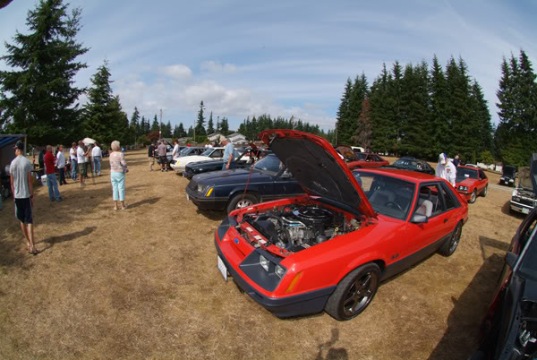 Name:  7956.jpg
Views: 62
Size:  72.8 KB