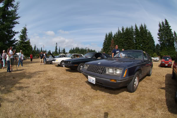 Name:  7957.jpg
Views: 59
Size:  69.2 KB