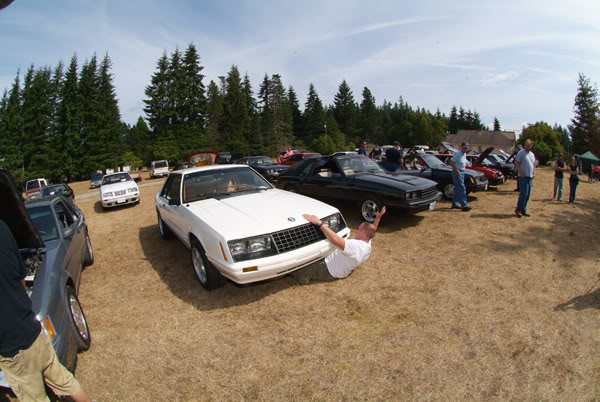 Name:  7958.jpg
Views: 59
Size:  72.4 KB