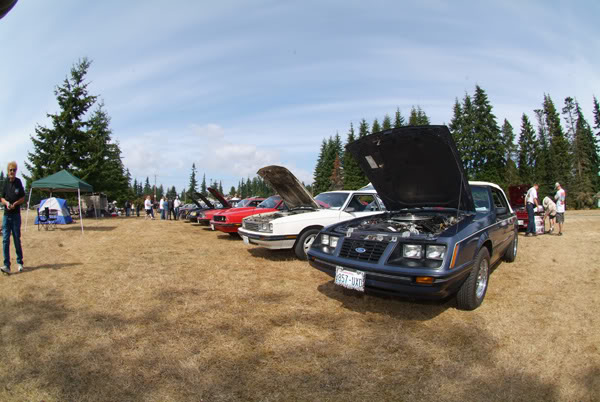 Name:  7962.jpg
Views: 63
Size:  67.7 KB