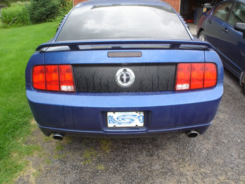 Name:  duals02.jpg
Views: 26
Size:  56.0 KB