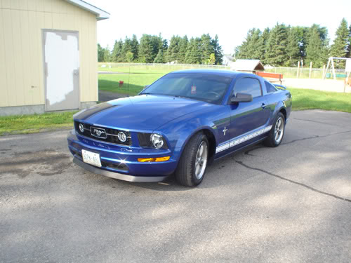 Name:  vb01.jpg
Views: 33
Size:  46.7 KB