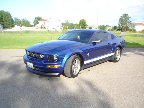 Name:  vb03.jpg
Views: 46
Size:  43.7 KB