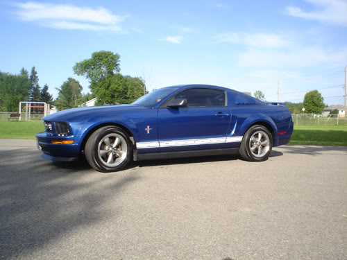 Name:  vb04.jpg
Views: 37
Size:  40.3 KB