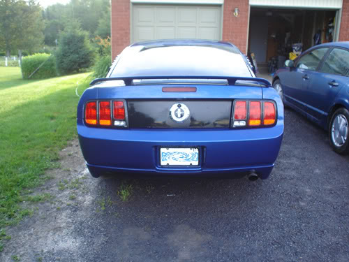 Name:  vb05.jpg
Views: 41
Size:  49.1 KB