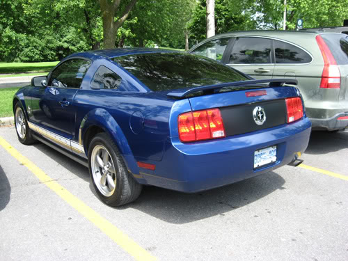 Name:  rearbefore01.jpg
Views: 93
Size:  61.3 KB