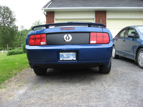 Name:  rear02.jpg
Views: 105
Size:  55.3 KB