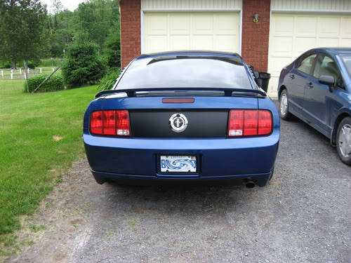 Name:  rear01.jpg
Views: 69
Size:  56.4 KB