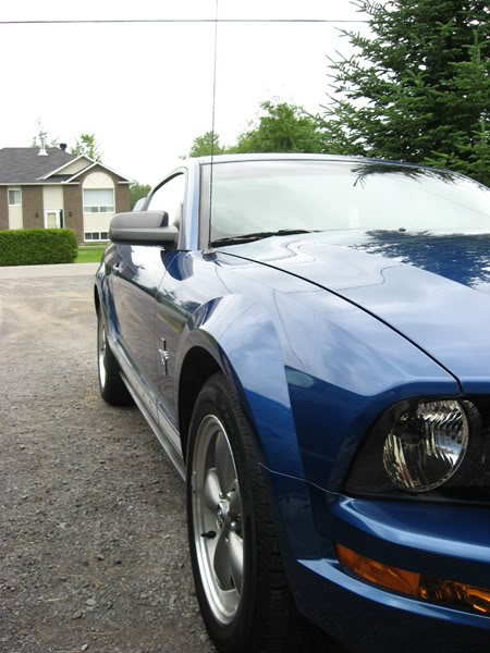 Name:  newpic01.jpg
Views: 102
Size:  67.4 KB