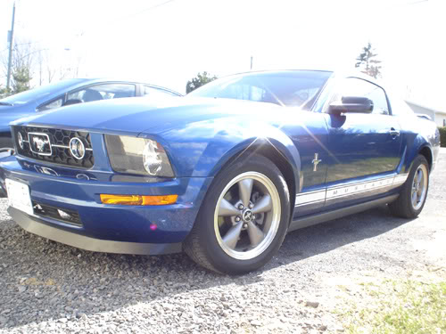 Name:  chin01.jpg
Views: 55
Size:  52.0 KB