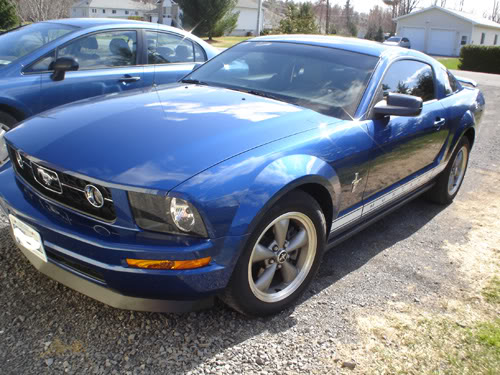 Name:  chin02.jpg
Views: 60
Size:  64.0 KB